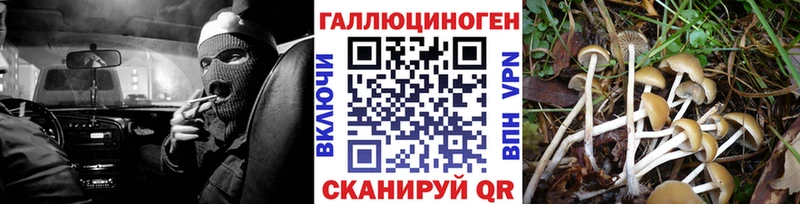 это официальный сайт  Ершов  Псилоцибиновые грибы мицелий  блэк спрут ТОР 