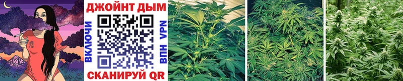 где продают   Ершов  МАРИХУАНА White Widow 